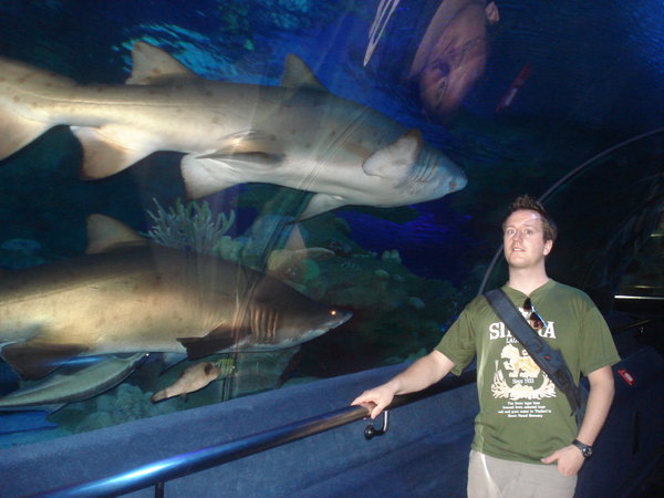 Colm scared of sharks