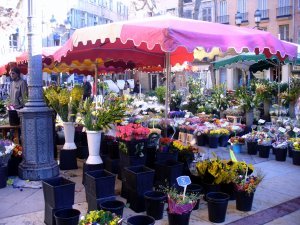 Flower Market in Aix
