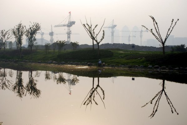 Cranes, trees and haze