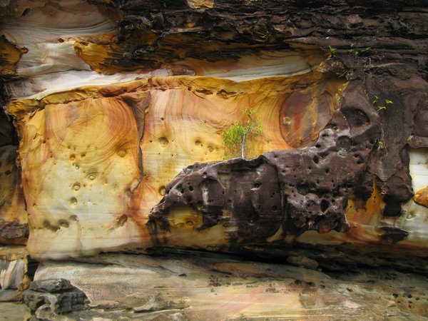 Limestone cliffs of Bako