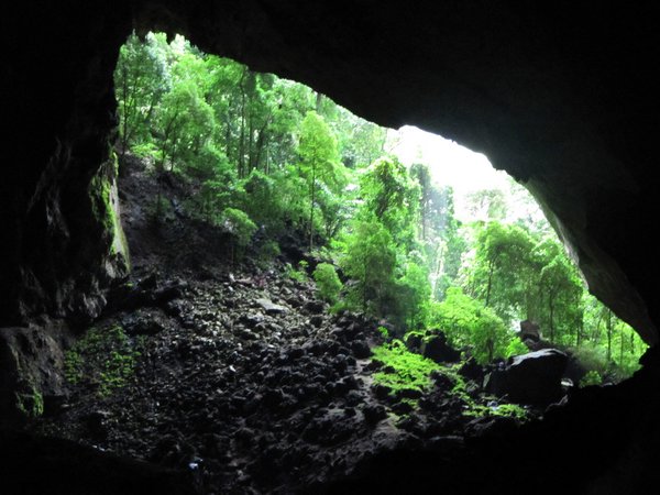 The Garden of Eden in Deer Cave