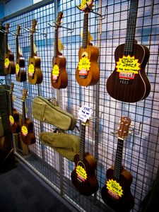 In case you wanted a ukulele at the motor show 