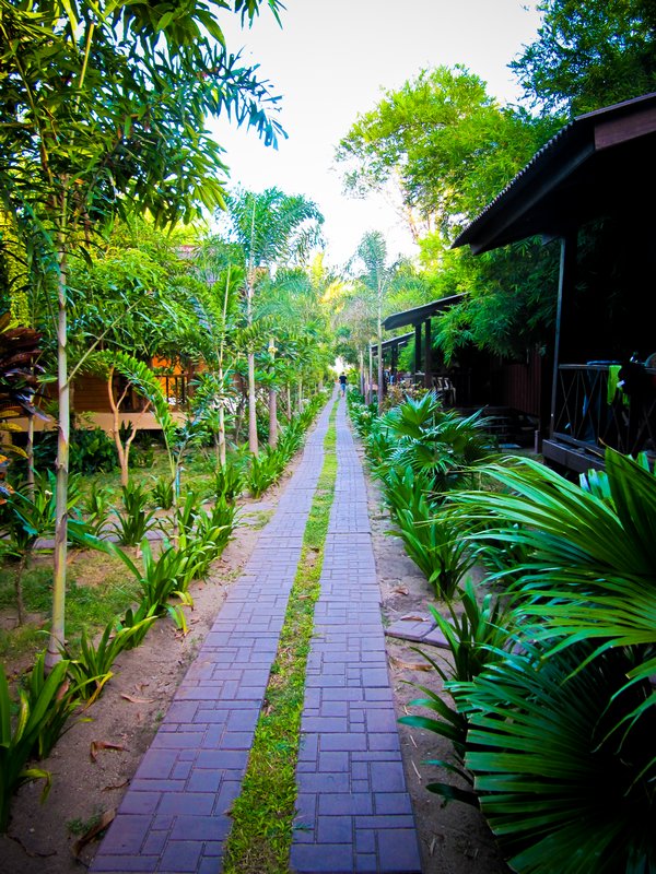 Path to our bungalow