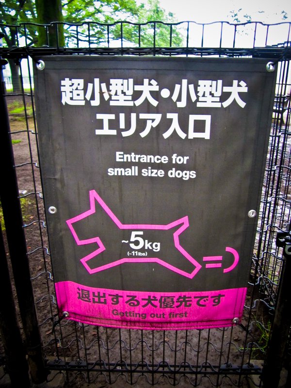 Yoyogi dog park