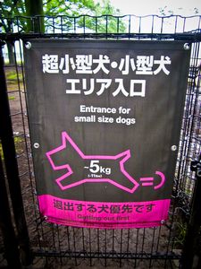 Yoyogi dog park