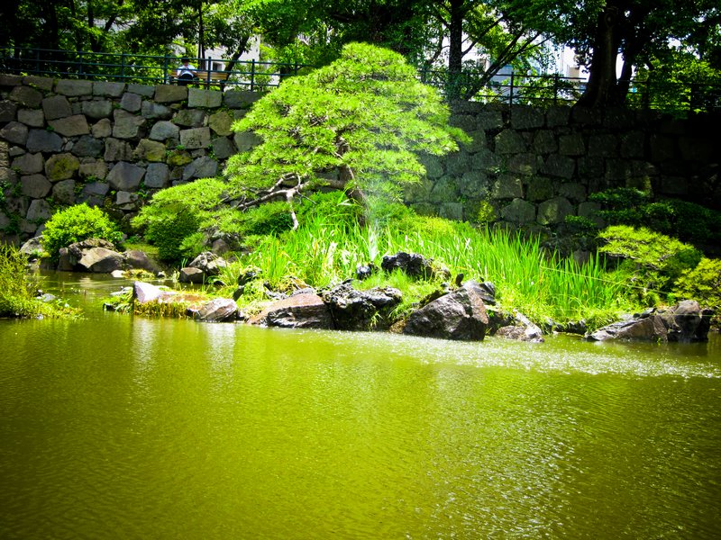 Hibiya park pond