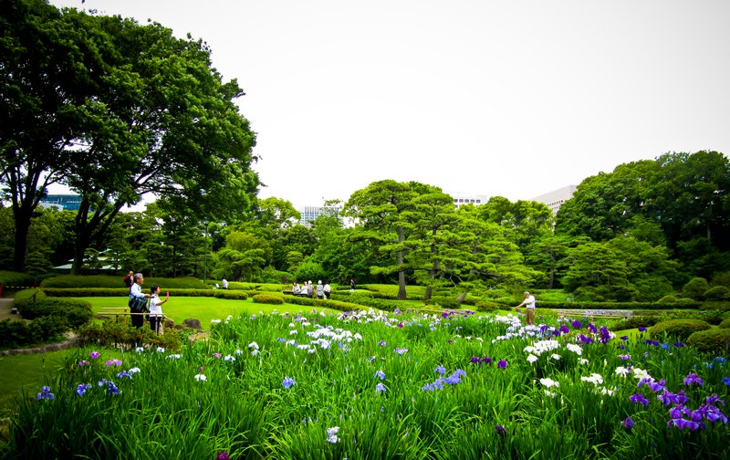 Gardens in the Imperial Palace