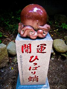 Mt. Takao octopus