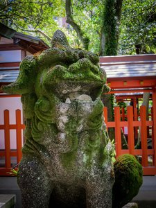 Sumiyoshi shrine in Fukuoka