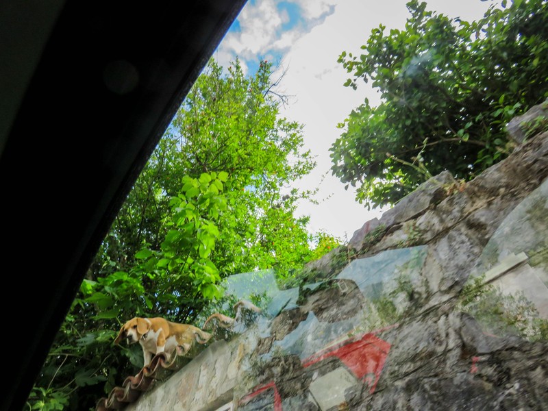 Beagle guardians in Budva
