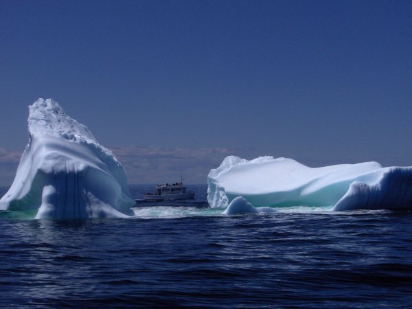 Iceberg tour at Twillingate