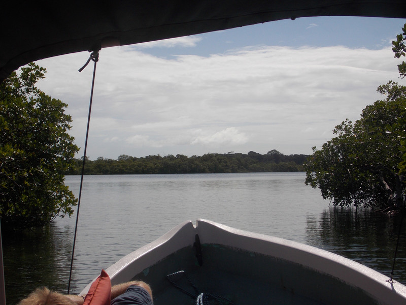 cruising through the islets and mangrove forests of the archipelago