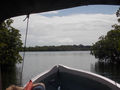cruising through the islets and mangrove forests of the archipelago