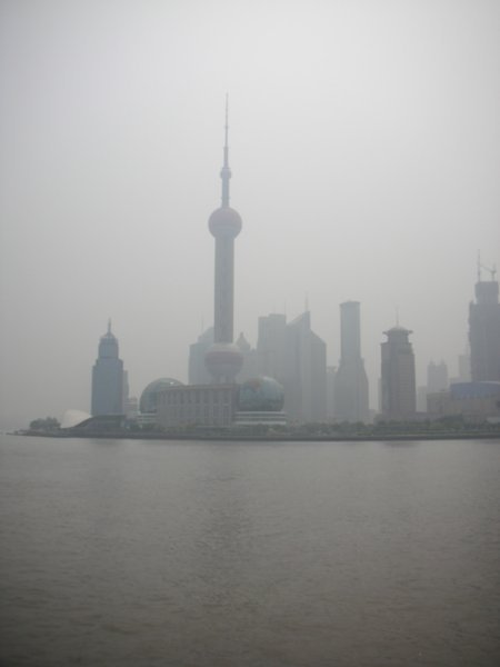 Signature Shanghai skyline