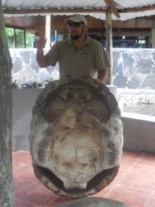 Ivan explaining the giant tortoise shell