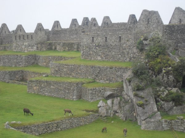 Inca ruins 3
