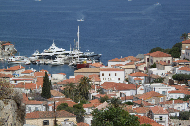 Hydra from above