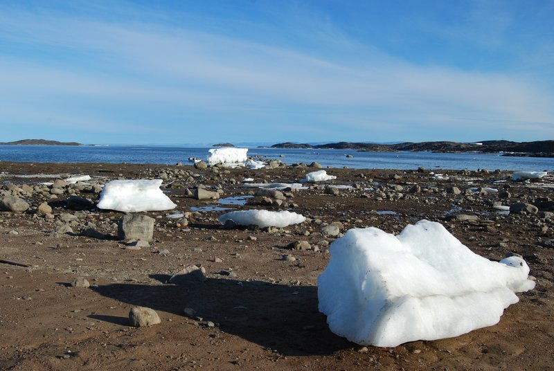 Sea Ice Washed Ashore