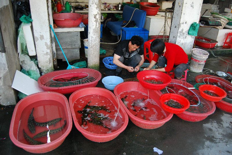 Seafood vendors