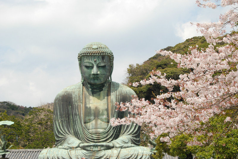 Buddha in Kamakura