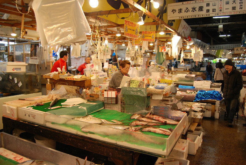 Tsujiki Fish Market