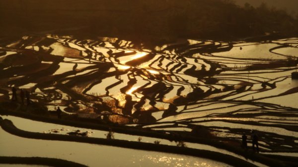 Chinese Rijstvelden in JuangYang