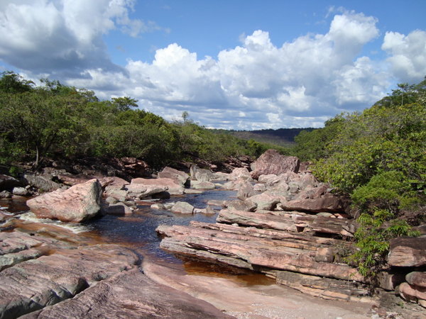 Up the Ribeirão river