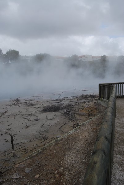 Rotorua - steaming ground