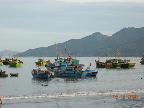 Colorful fishing boats in Quy Nhon