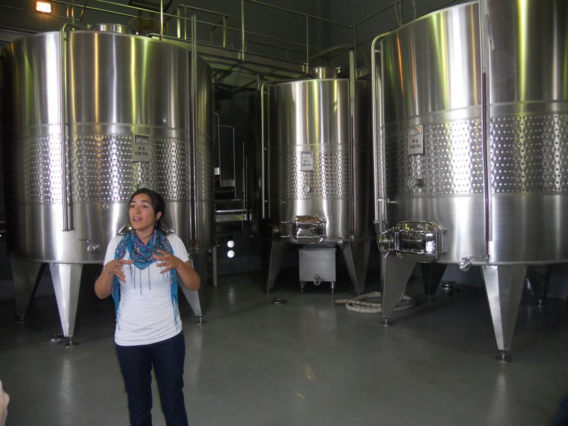 The fermentation tanks.