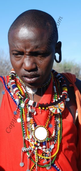 Masai Tribe warrior bride