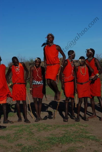 Masai. Dance