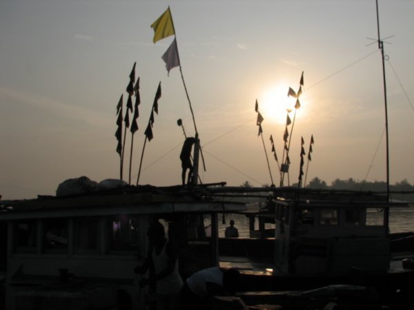 Fishermen's ships arrive at 5am dawn