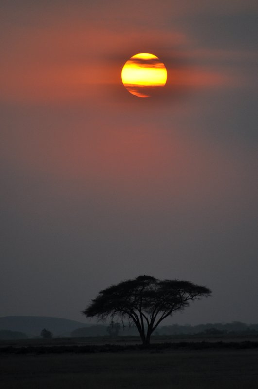 Day 2 at Masai Mara ends