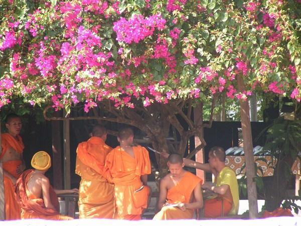  Monks