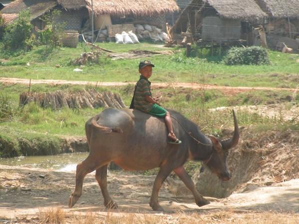 Inle lake