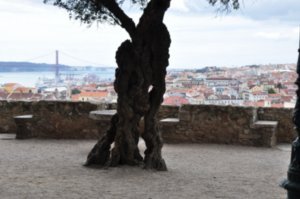 Lisbon (116)