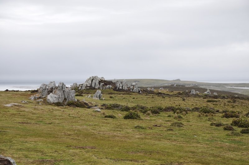 Falklands13