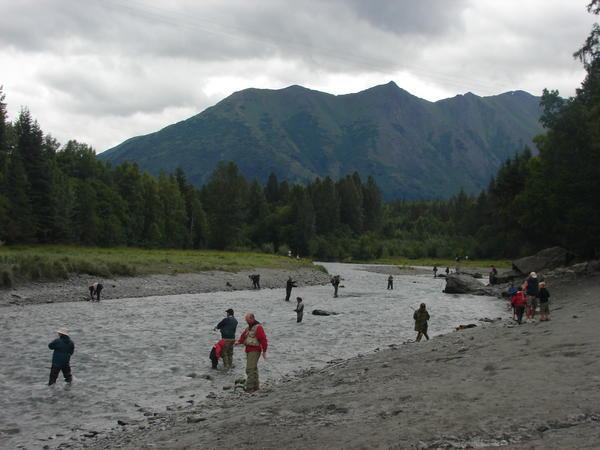 Salmon Fishing - Alaskan Style