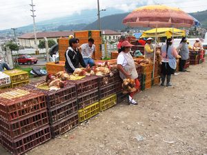 Otovalo - animal market