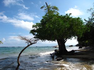 Tayrona NP - way back to the entrance