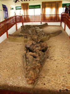 Villa de Leyva around - El Fossil