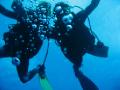 Diving in San Andres