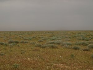 storm coming in over the steppe