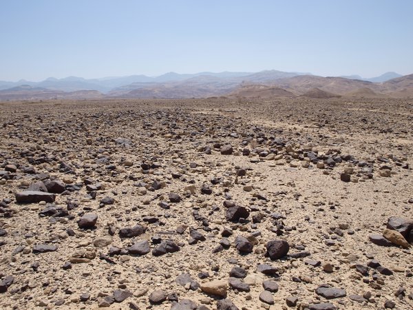 Wadi Araba, Bir Madhkur (survey area) - wadi