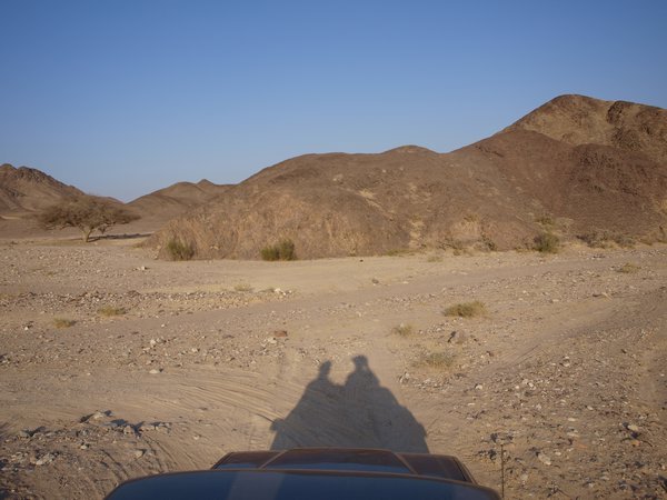 Wadi Araba, Bir Madhkur (survey area) - more camels