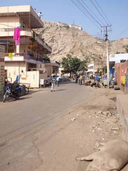 Jaipur - old city