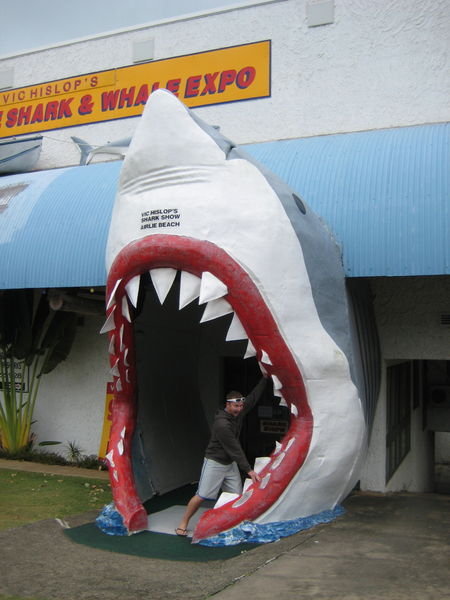 Vic Hislops Shark expo - Airlie Beach