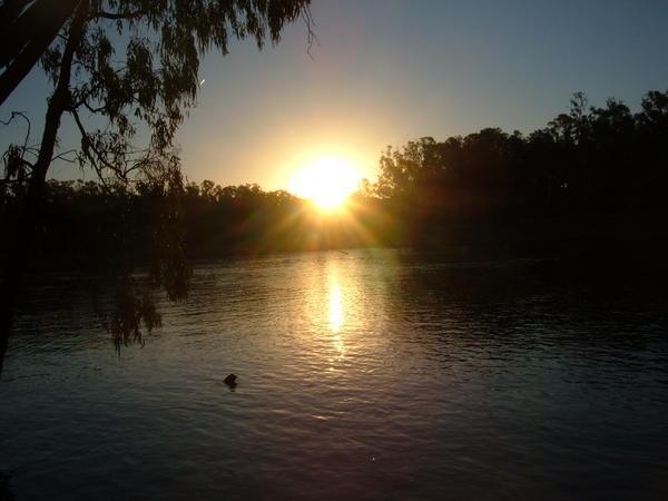The Murray River at sunset