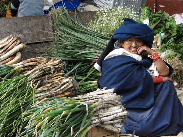 An Old Lady and her onions at the market